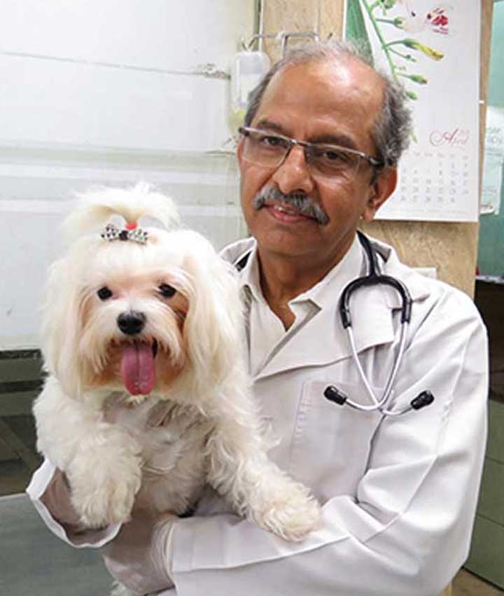 Dog Doctor in Delhi