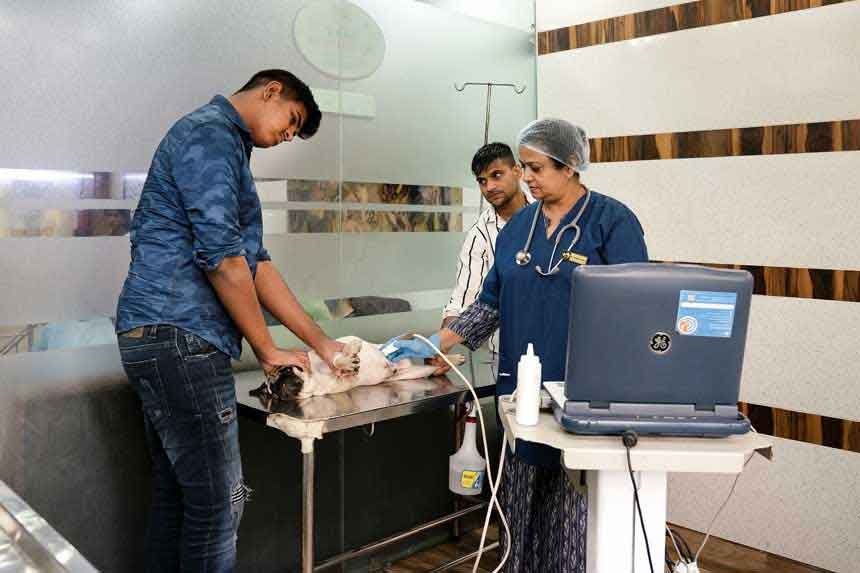 Dog Clinic in Delhi