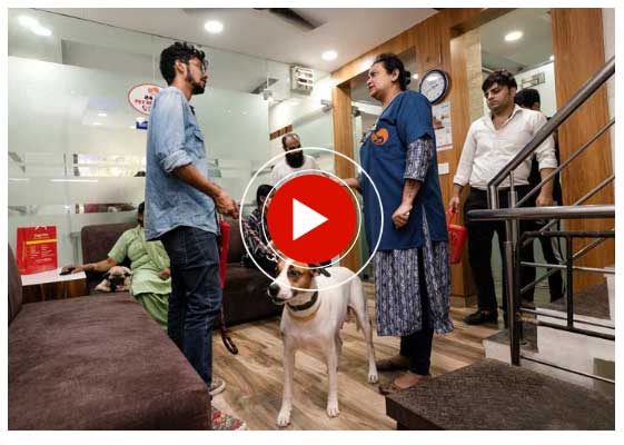 Dog Clinic in Delhi