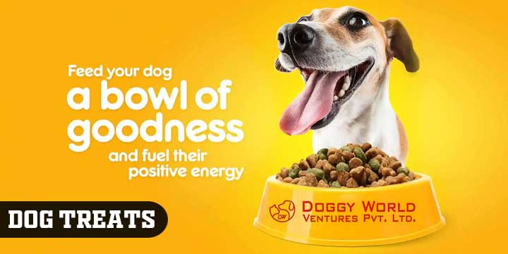 Dog Treats in Rohini, Paschim Vihar and Model Town