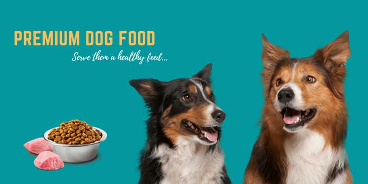 Buy Dog Food in Rohini- Doggy World