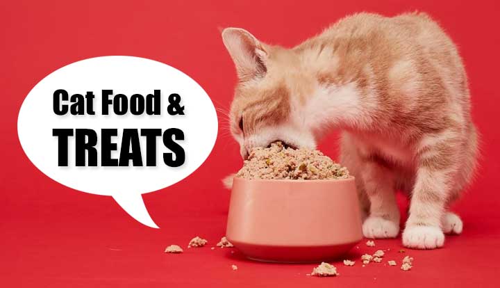 Cat Food & Treats