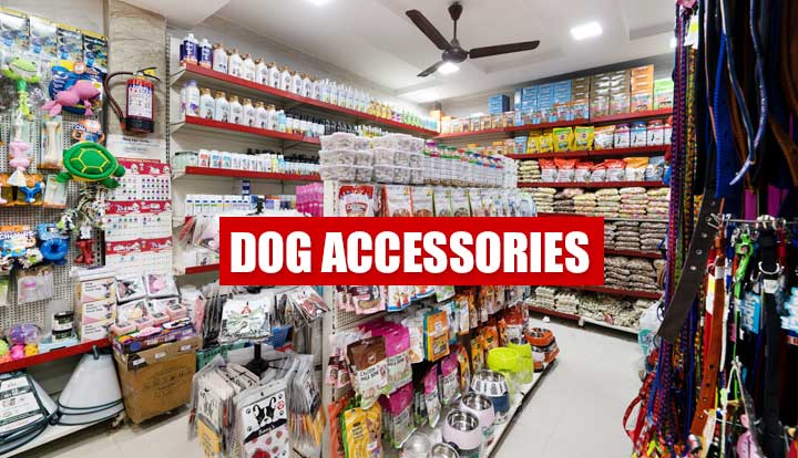 Dog Accessories in Rohini- Doggy World