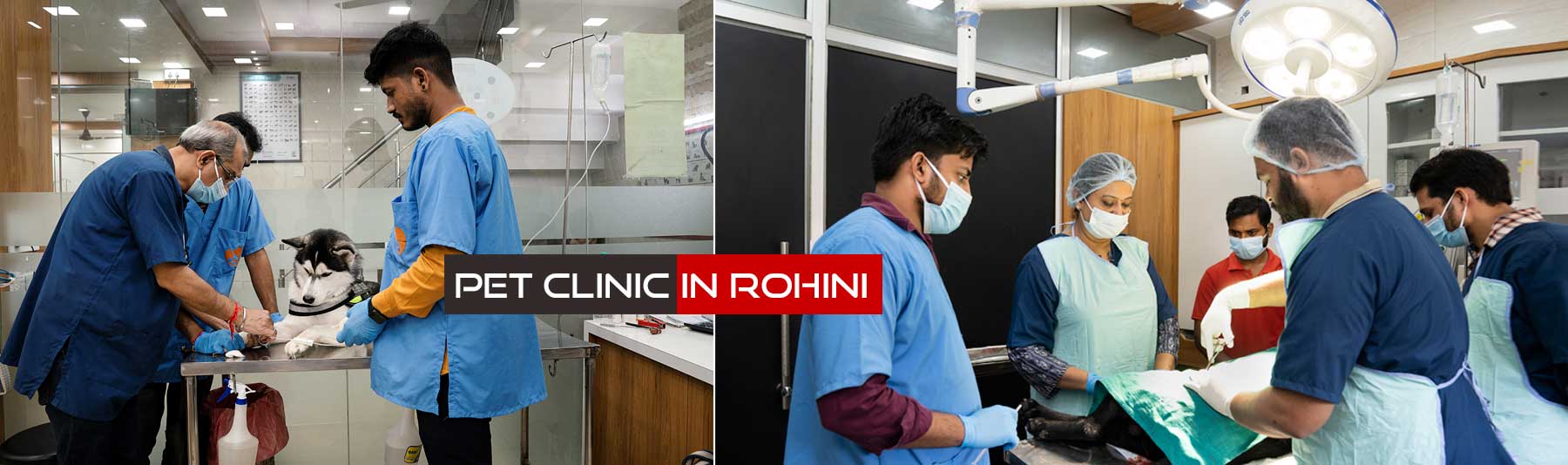 Pet Clinic in Rohini