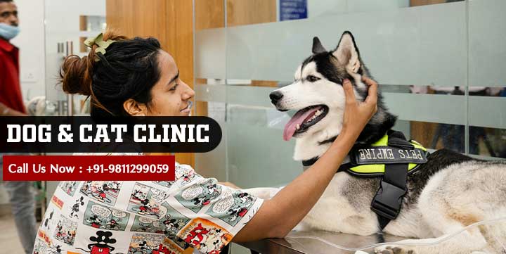 Dog Clinic