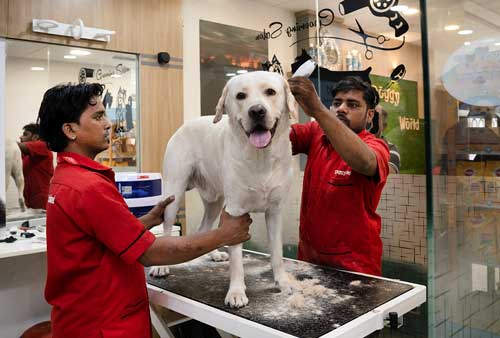 Pet Clinic in Rohini